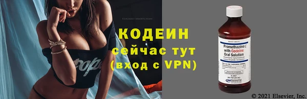 твердый Лагань