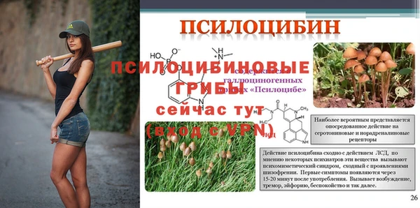 мет Кулебаки