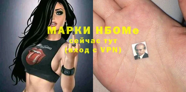твердый Лагань