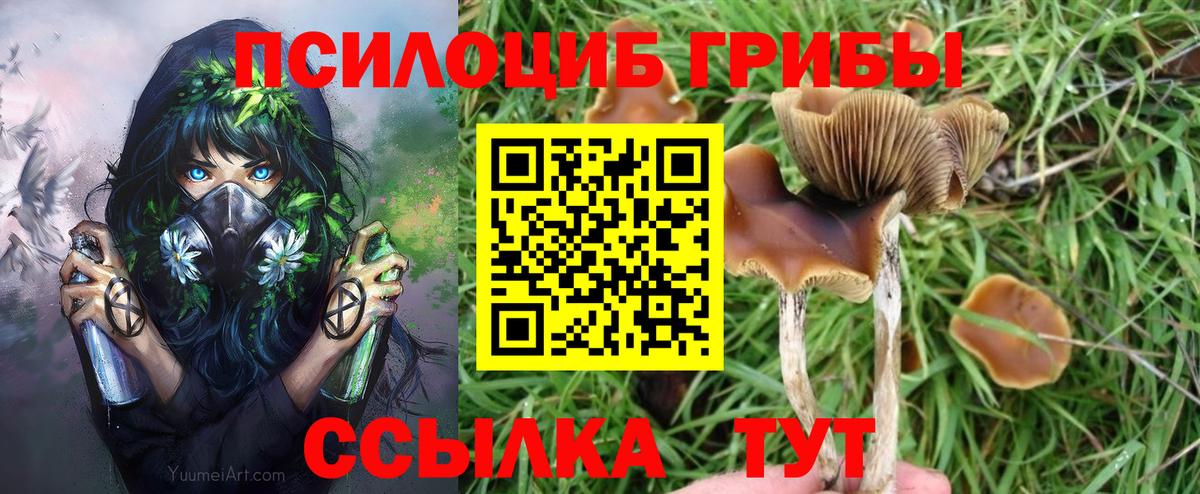 Псилоцибиновые грибы MAGIC MUSHROOMS  Вход с VPN  Нарьян-Мар 